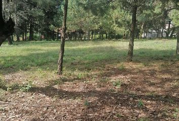 Lote de Terreno en  Avándaro, Valle De Bravo