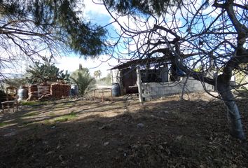 Terreno en  Molina De Segura, Murcia Provincia