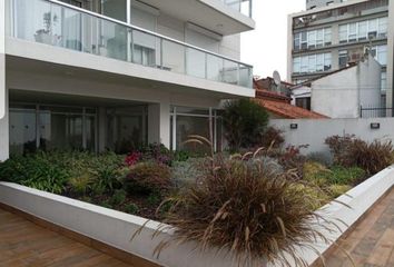 Departamento en  Güemes, Mar Del Plata