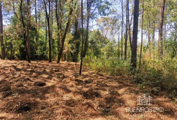 Lote de Terreno en  Mex A-1d, Valle De Bravo, México, Mex