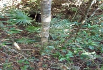 Lote de Terreno en  Coba, Tulum