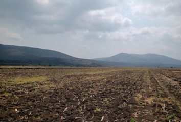 2 lotes de terrenos en renta en San Ciro de Acosta icasas.mx