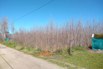 Terrenos en  Y, Calle 12 & Calle 19, Barrio Felix Camet, Provincia De Buenos Aires, Argentina