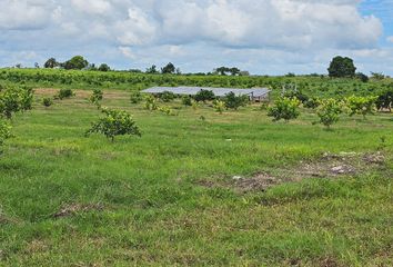 Lote de Terreno en  Bacalar, Bacalar, Bacalar, Quintana Roo