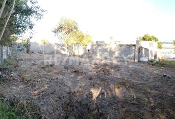 Lote de Terreno en  Obrera, Reynosa