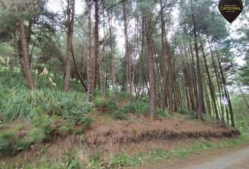 Terreno Comercial en  Tarqui, Cuenca