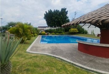 Departamento en  Pueblo Tlaltizapan De Pacheco, Tlaltizapán De Zapata