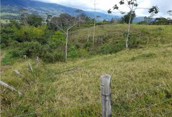 Lote de Terreno en  Centro Poblado, Calima