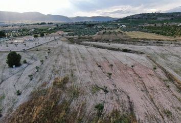 Terreno en  Sax, Alicante Provincia