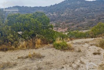 Lote de Terreno en  La Estanzuela, Mineral Del Chico, Hidalgo, Mex