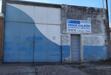 Galpónes/Bodegas en  Villa Constitución, Santa Fe