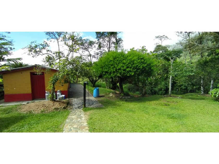 Venta Villa Quinta En Fredonia Antioquia 1174871 8302