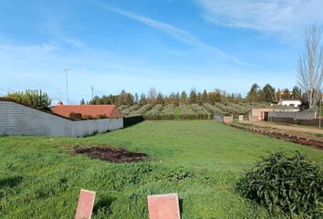 Terreno en  Zafra, Badajoz Provincia