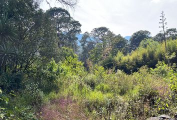 Lote de Terreno en  Valle De Bravo, México, Mex