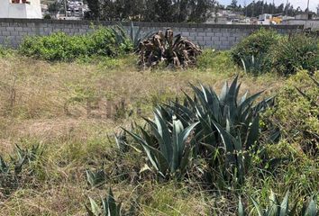 Terreno Comercial en  Calderón, Quito