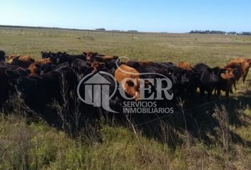 Terrenos en  Balcarce, Partido De Balcarce