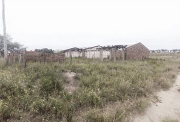 Terrenos en  Grünbein, Partido De Bahía Blanca