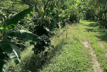 Villa-Quinta en  Cra. 6 #467, Fusagasugá, La Serena, Fusagasugá, Cundinamarca, Colombia