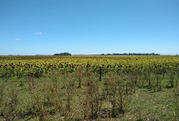 Terrenos en  Camet Norte, Partido De Mar Chiquita