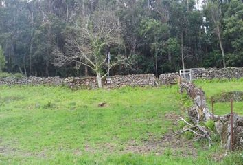 Terreno en  A Lama, Pontevedra Provincia