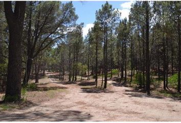 Terrenos en  Otro, Monte Hermoso