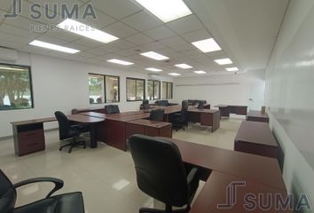 Oficina en  Monte Alto, Altamira
