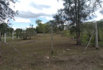 Lote de Terreno en  El Lencero, Municipio De Emiliano Zapata (veracruz)