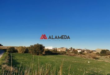 Chalet en  Chiclana De La Frontera, Cádiz Provincia