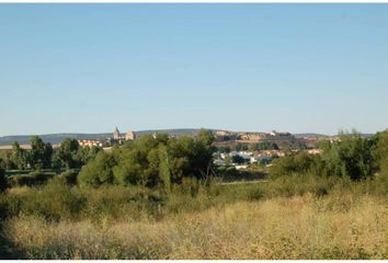 Terreno en  Ciudad Rodrigo, Salamanca Provincia