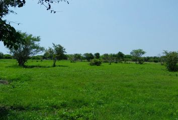 Local comercial en  Bella Vista, Pueblo Viejo, Pueblo Viejo, Veracruz