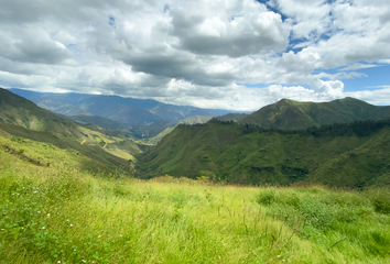 Bodega-Galpon en  Yangana (arsenio Castillo), Loja