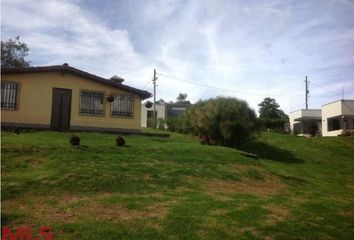 Casa en  Los Balsos, Medellín