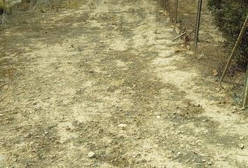 Terreno en  Las Torres De Cotillas, Murcia Provincia