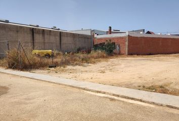 Terreno en  L'alcúdia, Valencia/valència Provincia