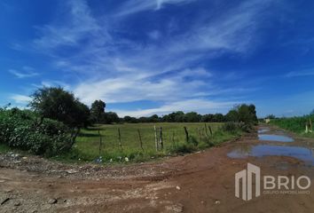 Lote de Terreno en  20 De Noviembre, Durango