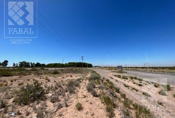 Terrenos en  Vista Alegre, Neuquen