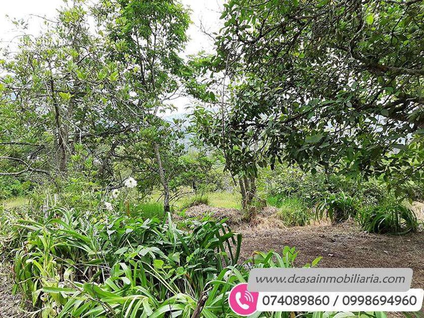 venta Casa en Paute, Paute (651659) icasas.ec