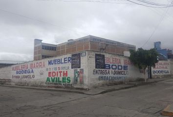 Local comercial en  Estación, Actopan