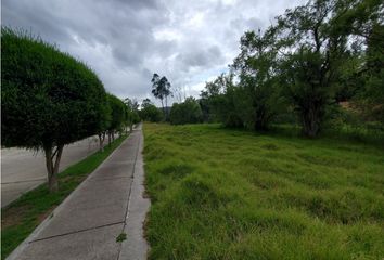 Terreno Comercial en  Nulti, Cuenca