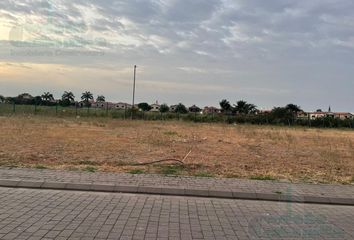 Terreno Comercial en  La Puntilla (satélite), Samborondón