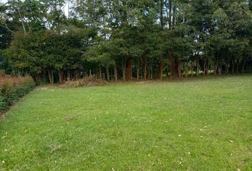 Lote de Terreno en  Rionegro Antioquía