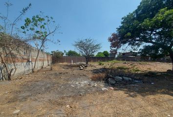 Lote de Terreno en  Tecomán, Colima