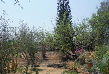 Lote de Terreno en  Oaxtepec Centro, Yautepec De Zaragoza