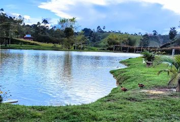 Local Comercial en  Santuario, Antioquia