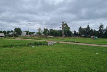 Terrenos en  Junín, Partido De Junín