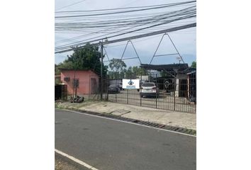 Bodega/Galera en  Santa María, Ciudad De Panamá