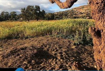 Lote de Terreno en  Sonora, Fraccionamiento Reforma, Ensenada, Baja California, 22920, Mex