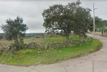 Terreno en  Encina De San Silvestre, Salamanca Provincia