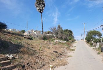 Lote de Terreno en  Iglesia De Jesucristo, Melchor Ocampo, Sexto Ayuntamiento, Ensenada, Baja California, 22820, Mex