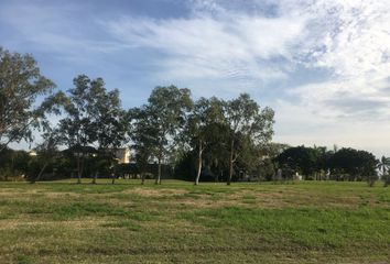 Lote de Terreno en  Residencial Lagunas De Miralta, Altamira